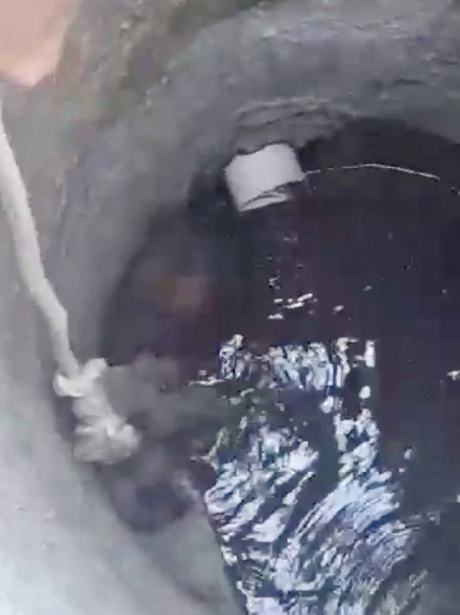 لحظات خروج الكلب من البئر فى حبل لحظات خروج الكلب من البئر فى حبل