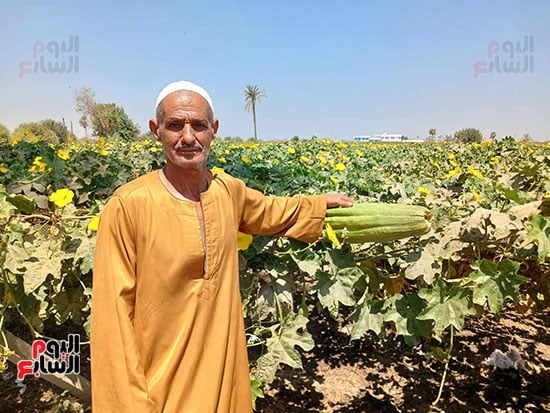 حبيب-محمد-حبيب