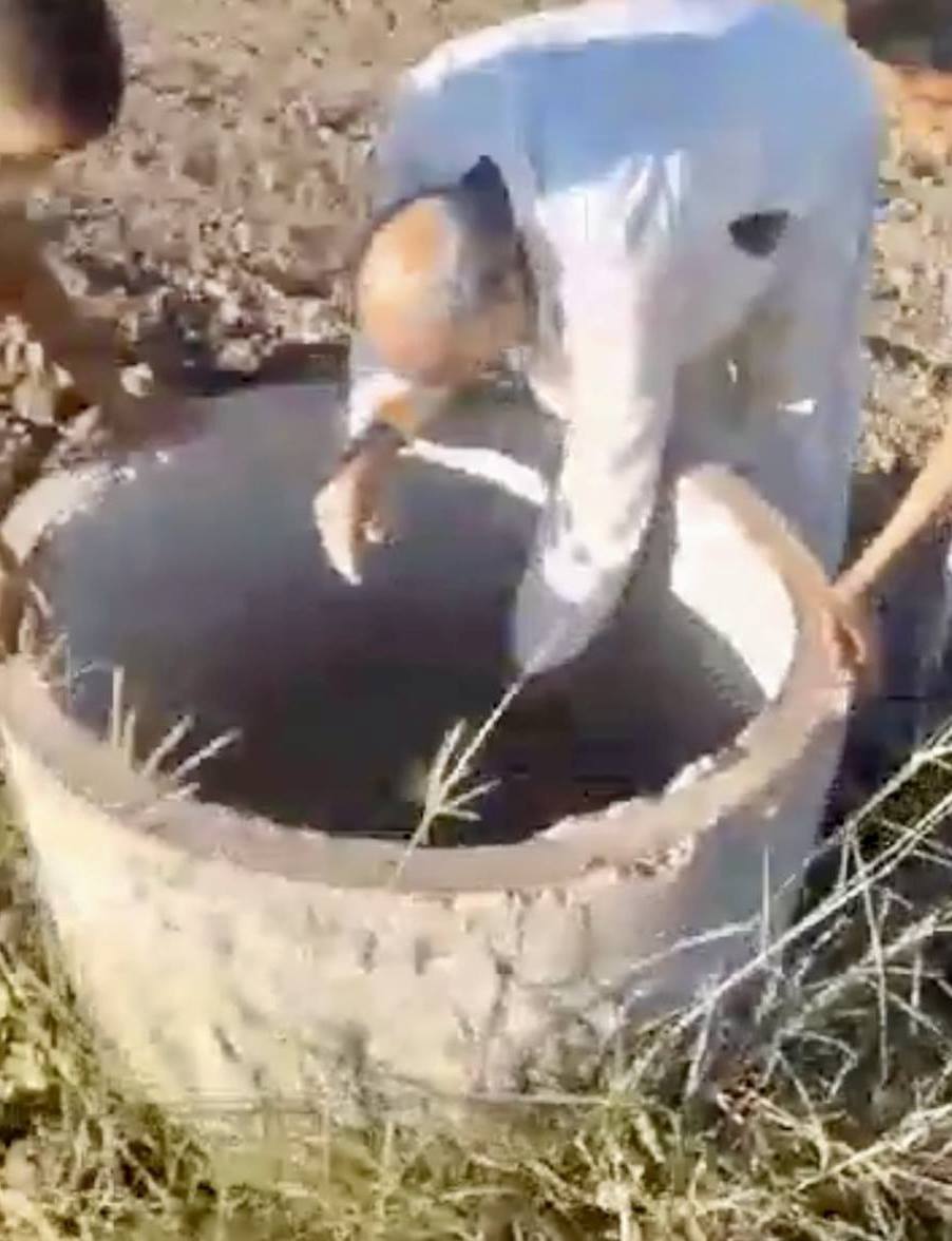 مدير مدرسة بقرية الرياينة وأسرته ينقذون كلب سقط في بئر مدير مدرسة بقرية الرياينة وأسرته ينقذون كلب سقط في بئر
