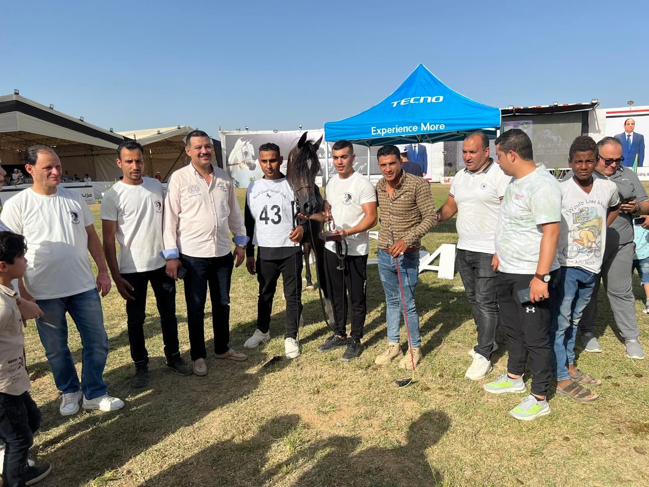 تدريب الخيول تدريب الخيول