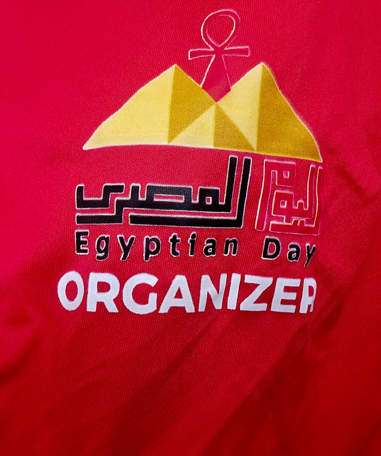 اليوم المصرى (1)