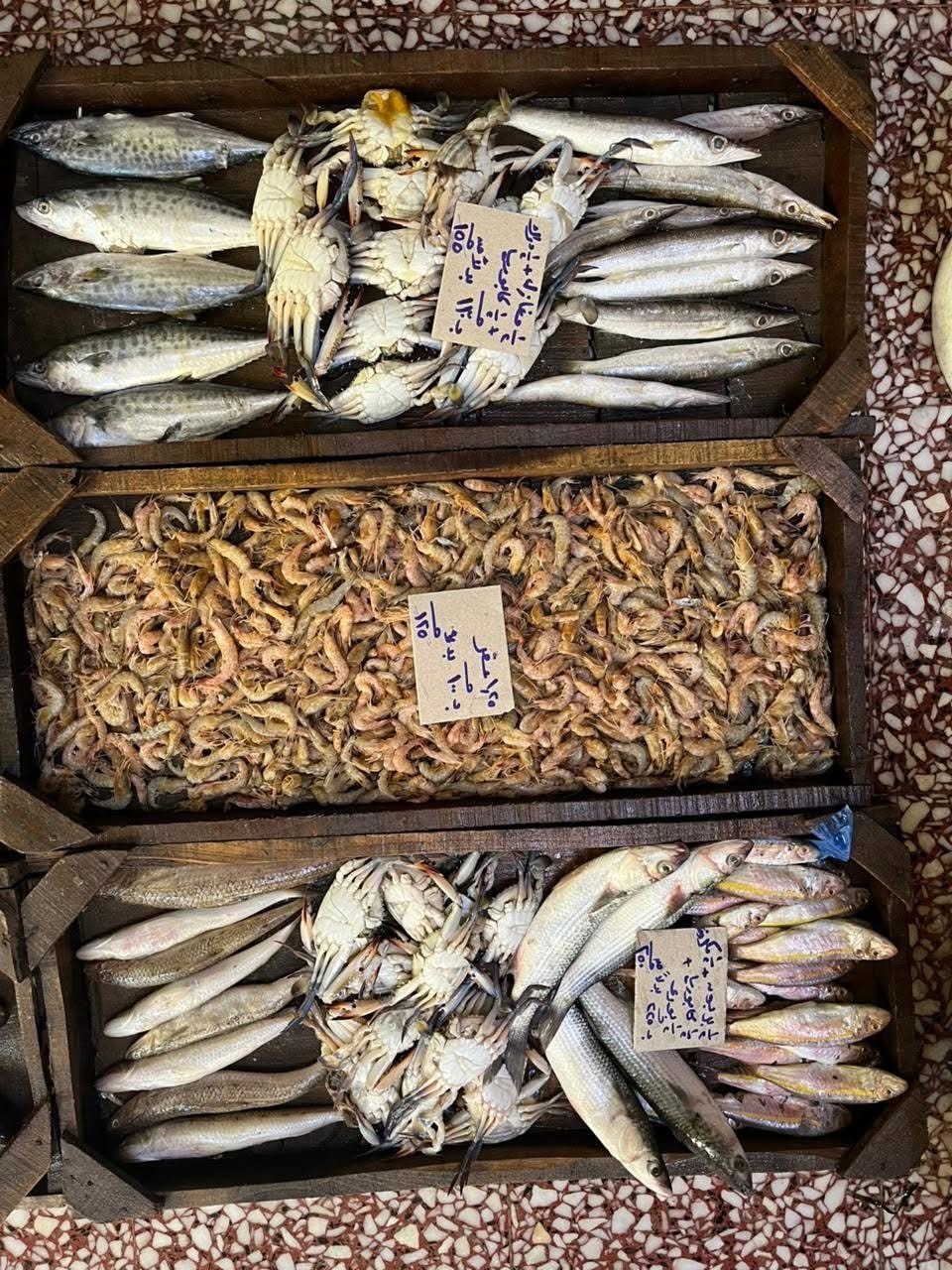 سوق السمك فى الإسكندرية سوق السمك فى الإسكندرية