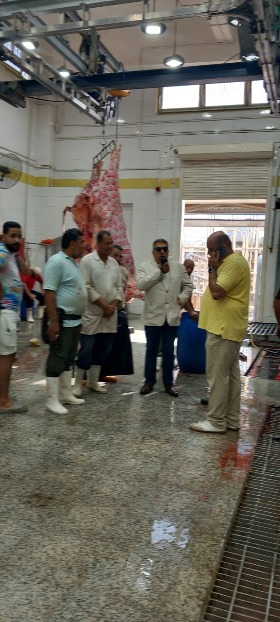 مجازر الدقهلية وتفقد المحافظ (3)