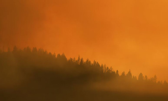 حرائق الفابات (5)