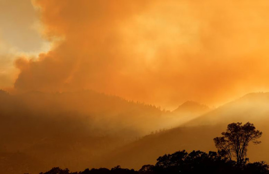 حرائق الفابات (6)