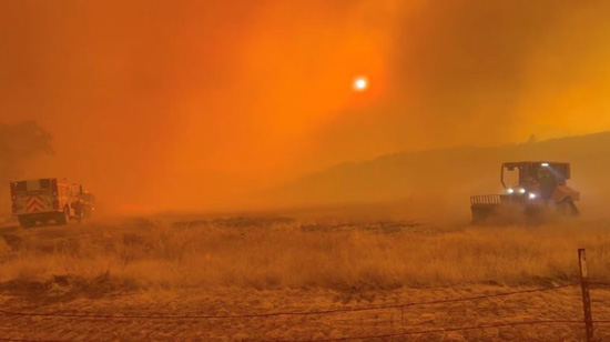 حرائق الفابات (2)