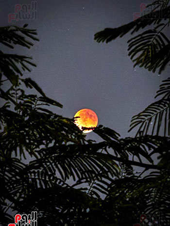  خسوف القمر (1)