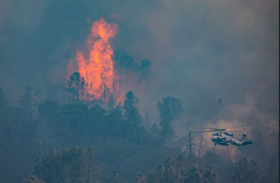 حرائق الفابات (3)