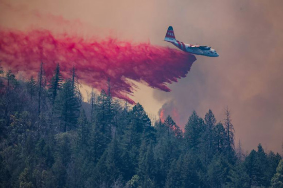 حرائق الفابات (1)