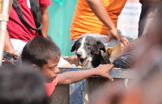 فيضان الهند (5)