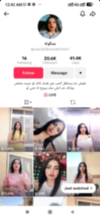 صفحة المتهم