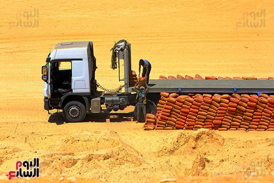 تطوير الميناء تطوير الميناء