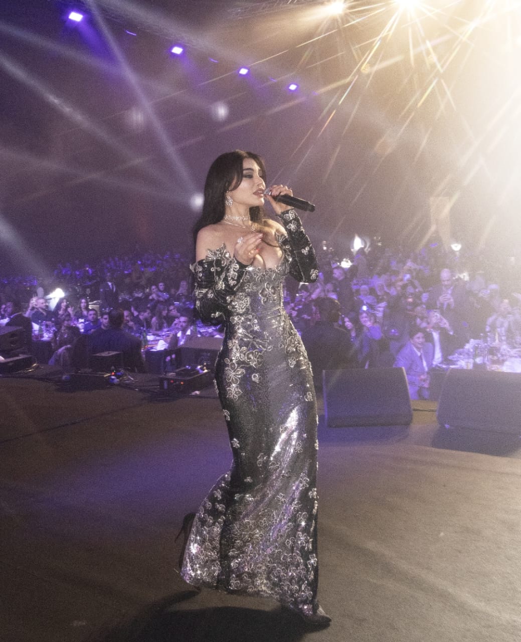 هيفاء وهبى تحيى حفل راس السنة