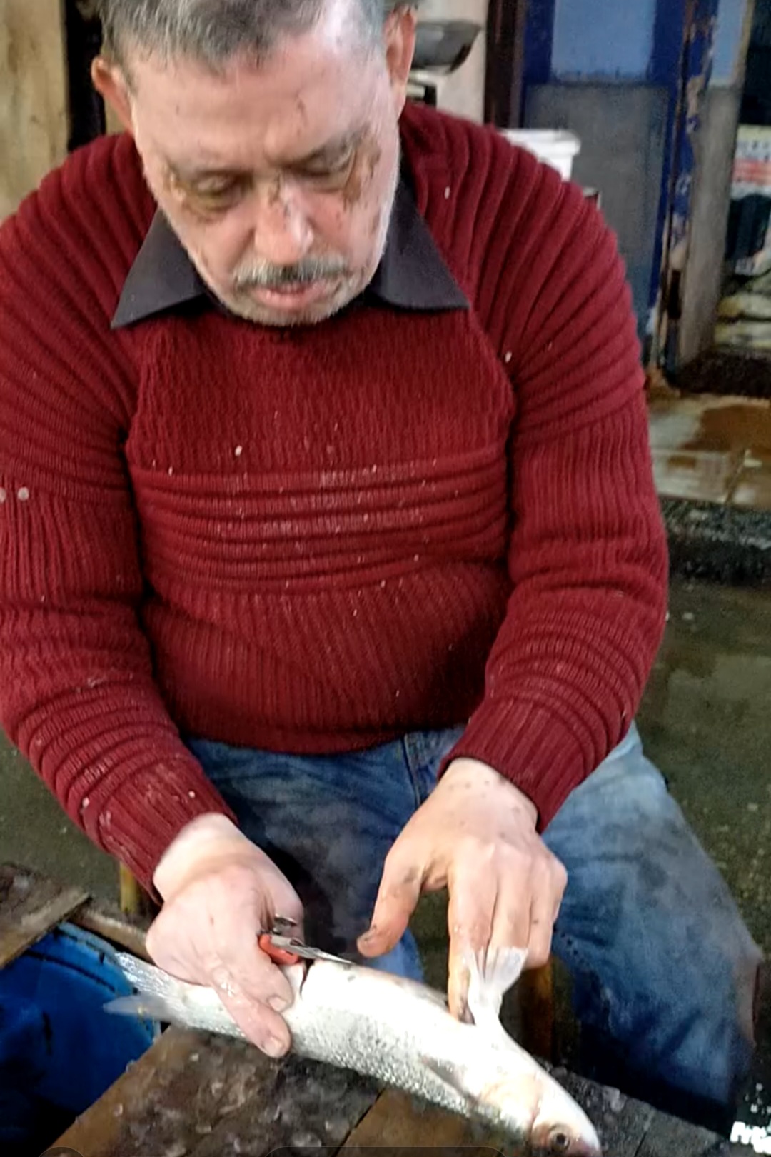 طريقة تفريغ البطارخ طريقة تفريغ البطارخ