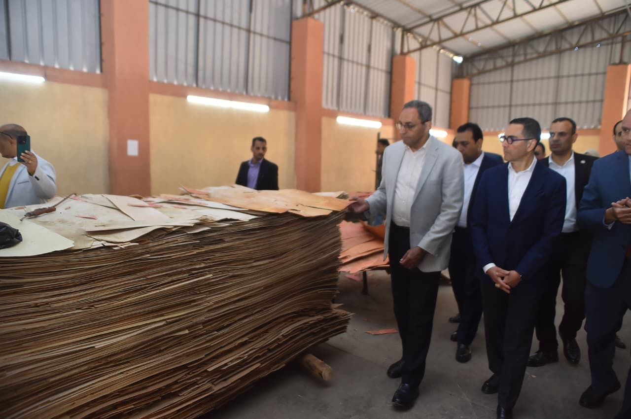 وزير الاستثمار والتجارة الخارجية ومحافظ قنا يتفقدان سير العمل بالمنطقة الحرة (7)