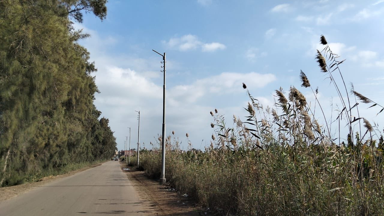 تركيب 50 عمود كهرباء جديد مزود بكشافات إنارة حديثة بعدد من طرق سيدي سالم تركيب 50 عمود كهرباء جديد مزود بكشافات إنارة حديثة بعدد من طرق سيدي سالم