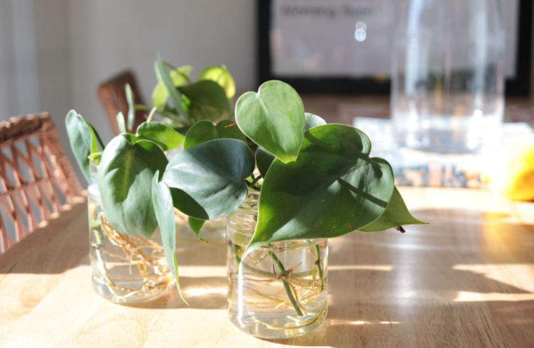 اجواء منزلية 