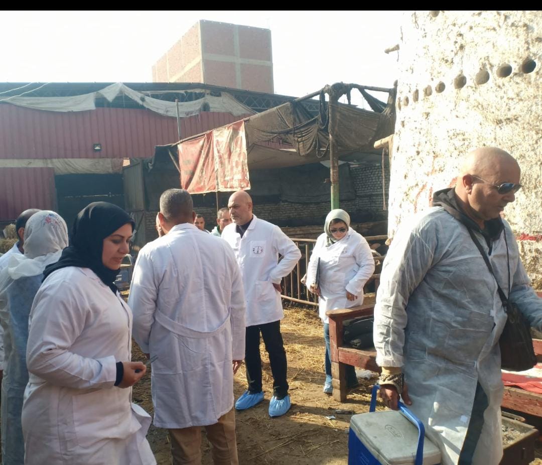 خلال حملة التحصين ضد الحمي القلاعية بالقليوبية