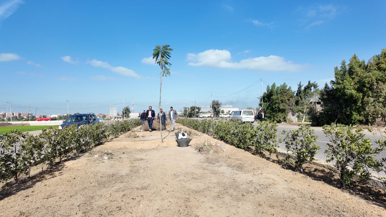 رفع كفاءة الجزيرة الوسطى بمدخل عاصمة رفع كفاءة الجزيرة الوسطى بمدخل عاصمة