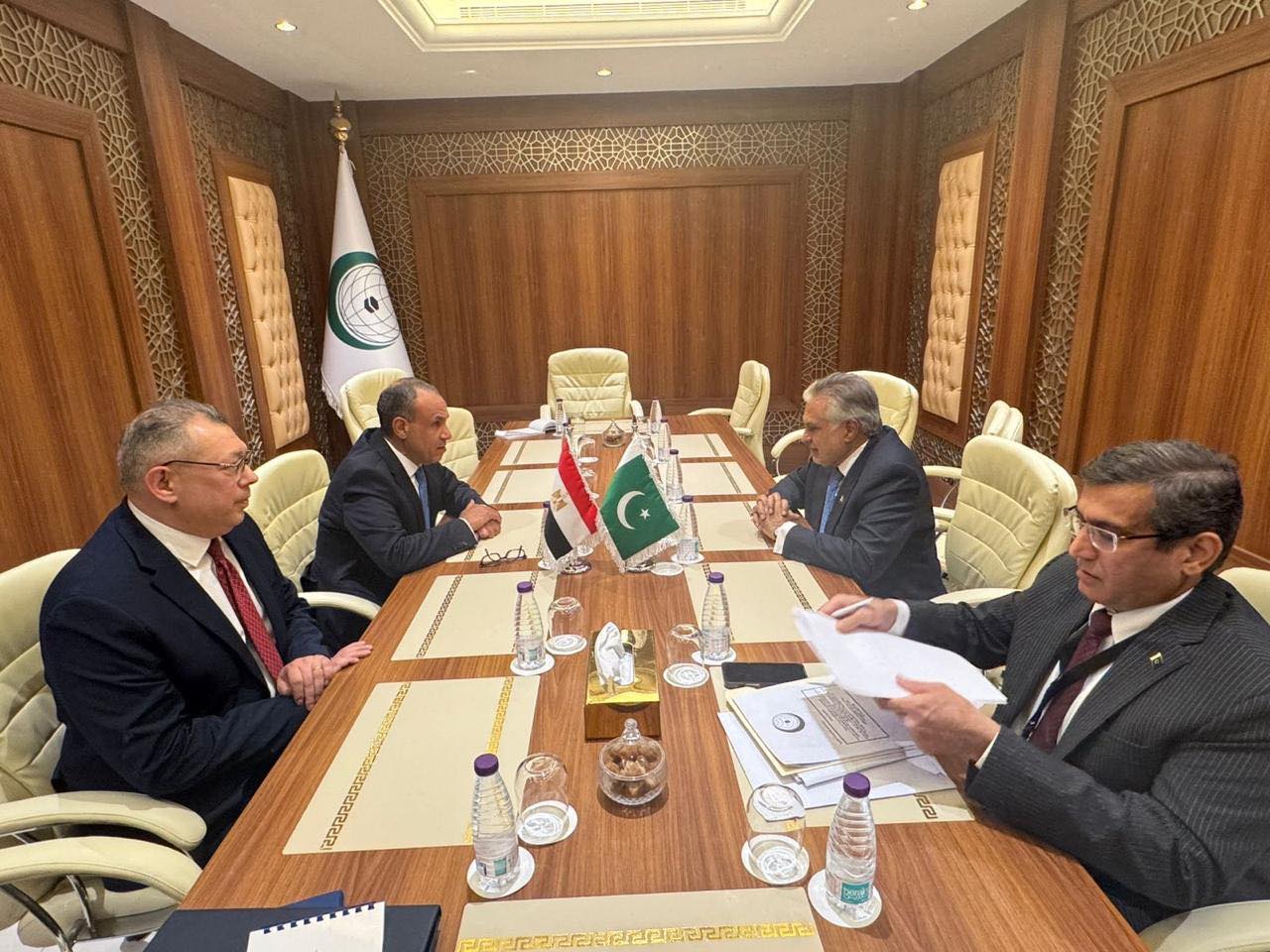 وزير الخارجية يؤكد لنظيره الباكستاني (2)