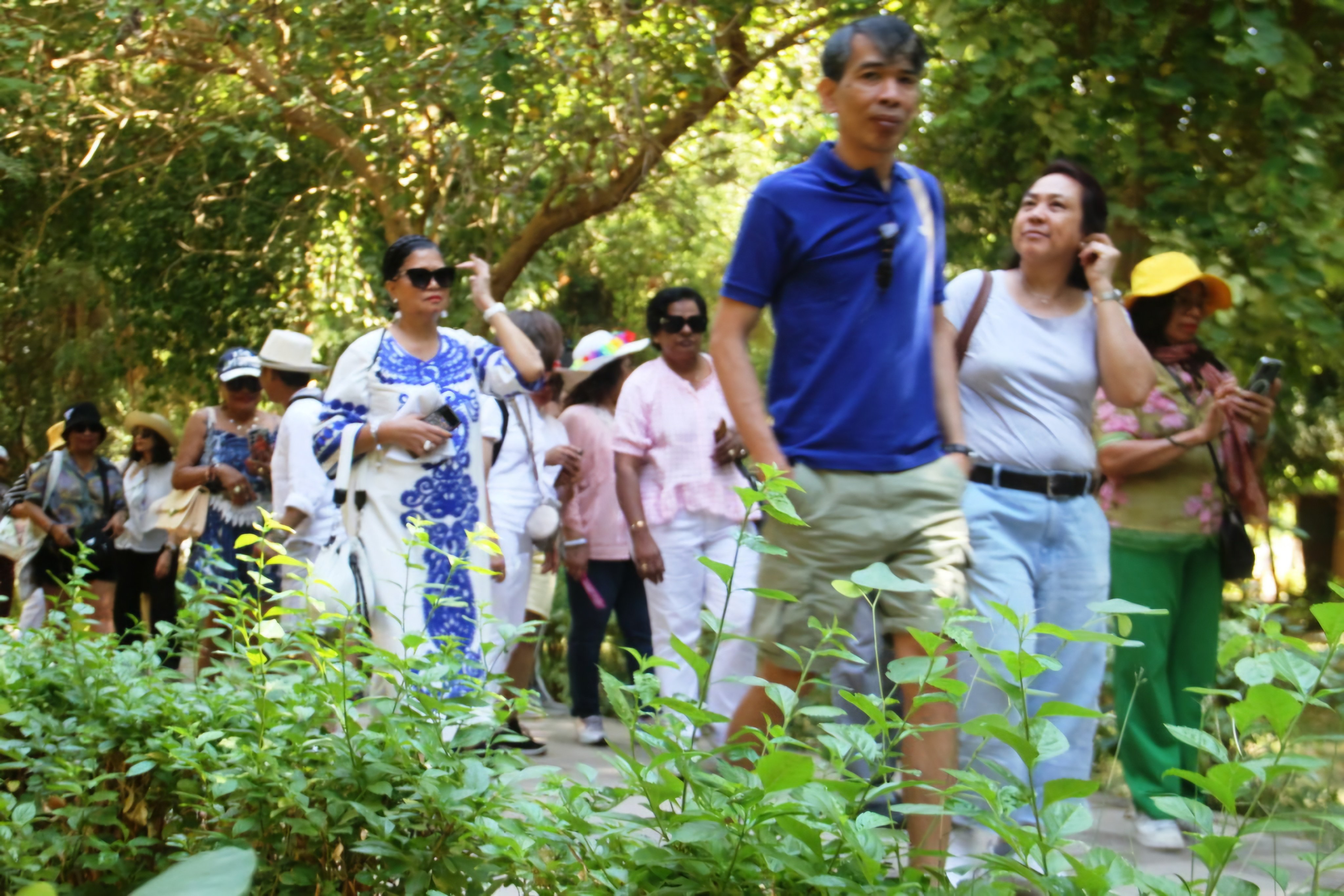 الحركة السياحية في أسوان