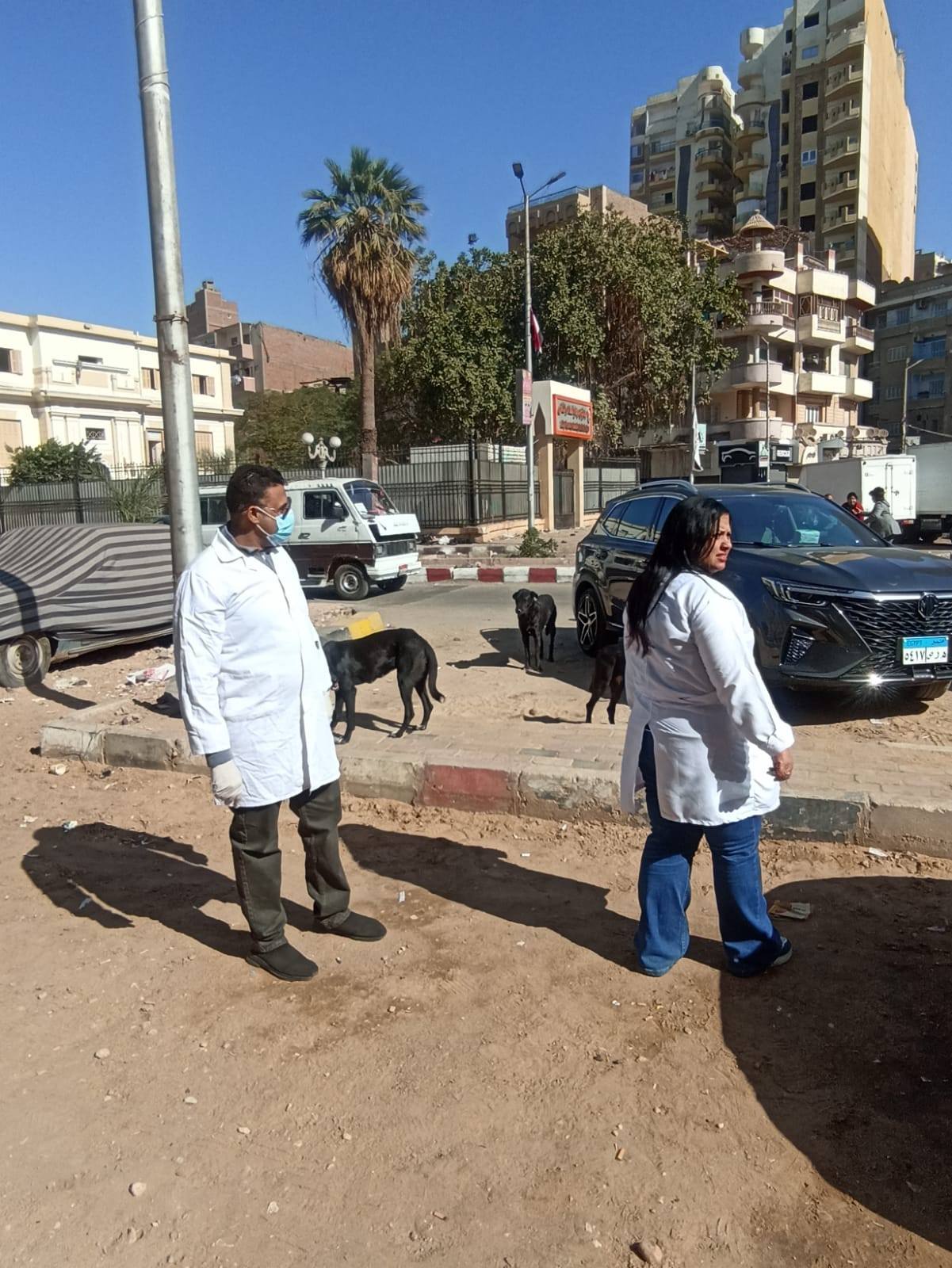 عمليات التحصين للكلاب