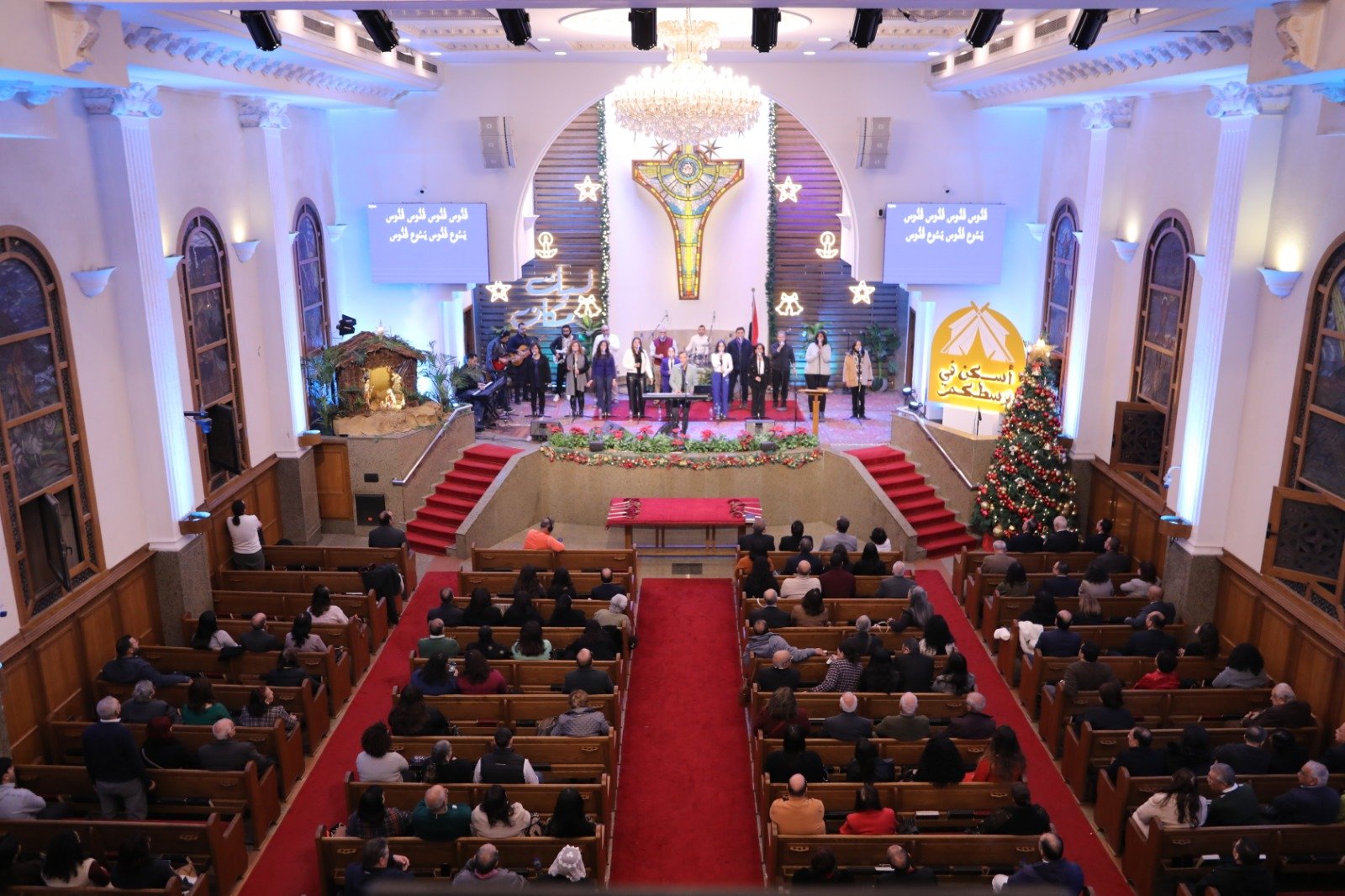 1000066235 1000066235