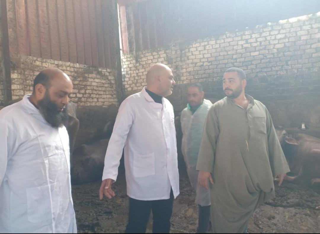 حملات التحصين بالقليوبية