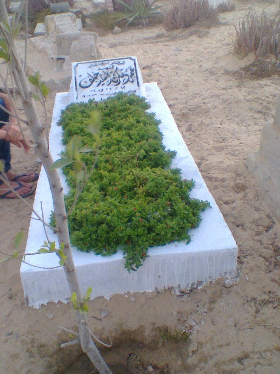 الشهيد عمرو شكرى (7)