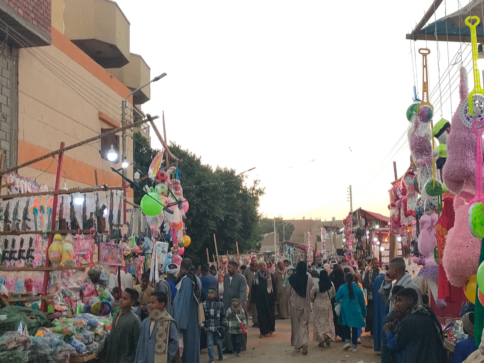 توافد المواطنين بإحتفالات مولد سيدى أحمد إبن إدريس بقرى الدير والزينية بالأقصر