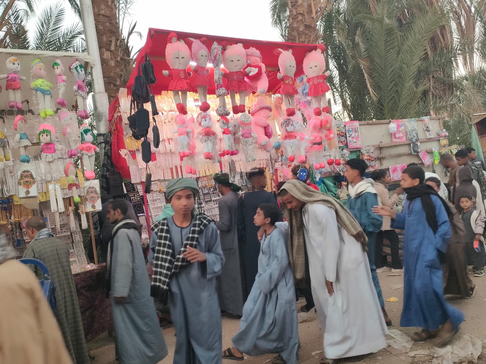 الفرحة فى إحتفالات مولد سيدى أحمد إبن إدريس بقرى الدير والزينية