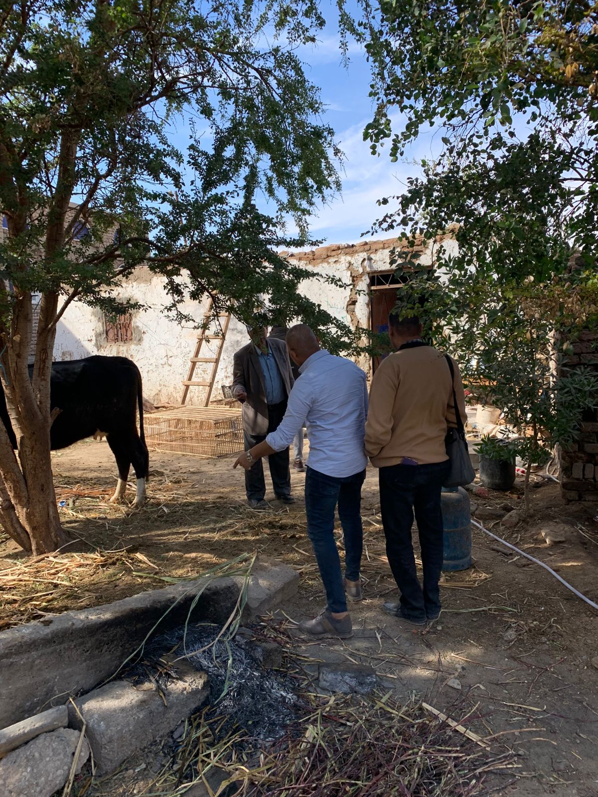 مراجعة أوضاع التوصيلات المنزلية والتجارية والوصلات غير القانونية بالأقصر مراجعة أوضاع التوصيلات المنزلية والتجارية والوصلات غير القانونية بالأقصر