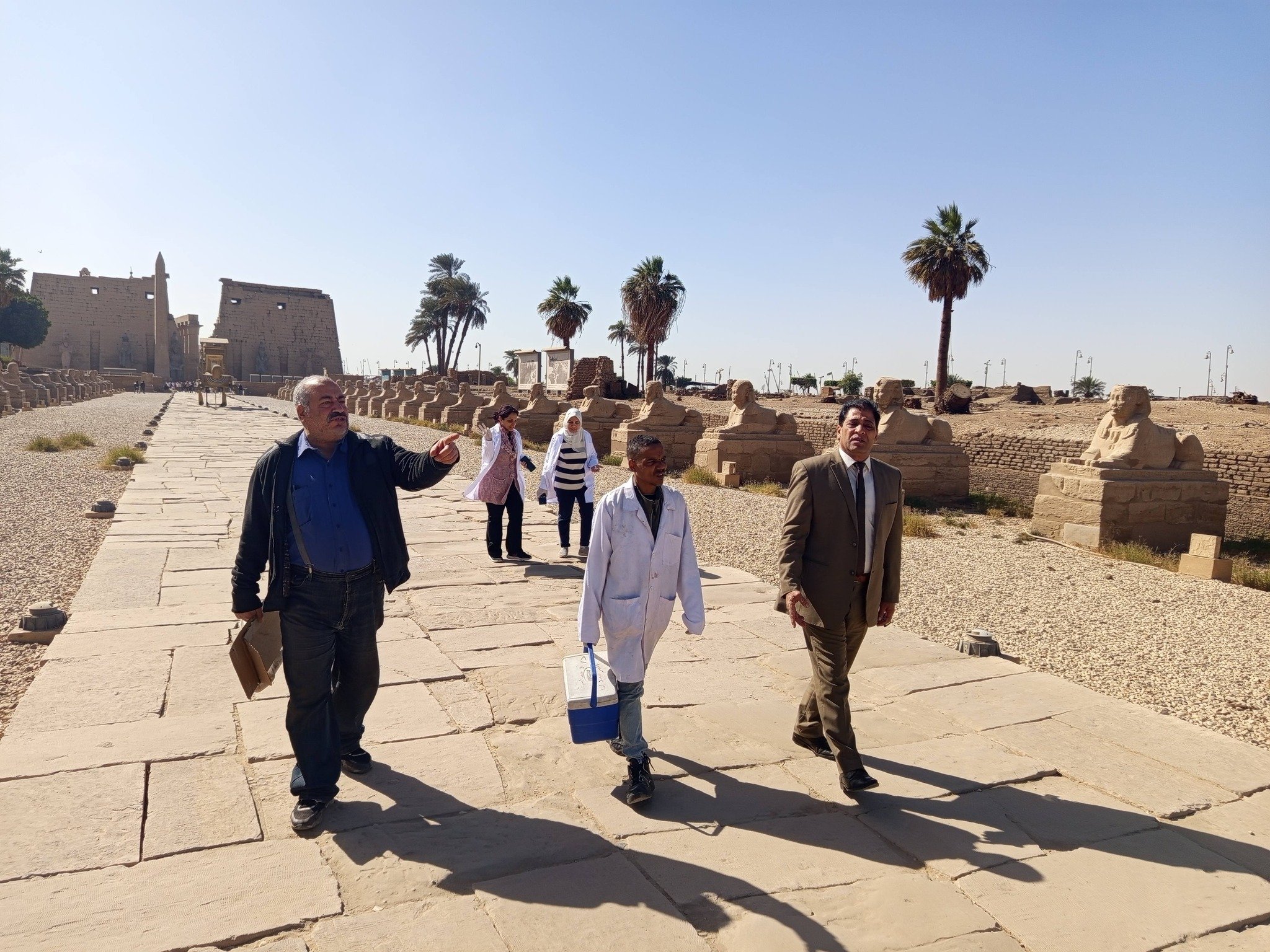 حملة لتحصين الكلاب الحرة في معبد الأقصر وطريق الكباش