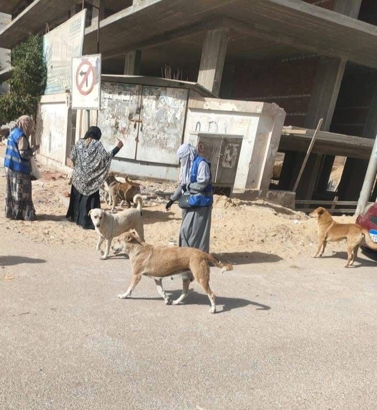 خلال حملات التحصين