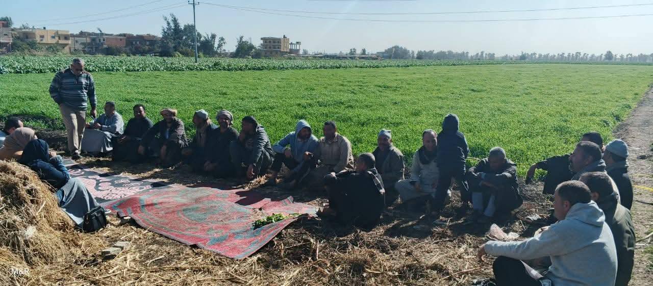 ندوات حقلية لنشر الوعي الزراعي وزيادة إنتاجية المحاصيل