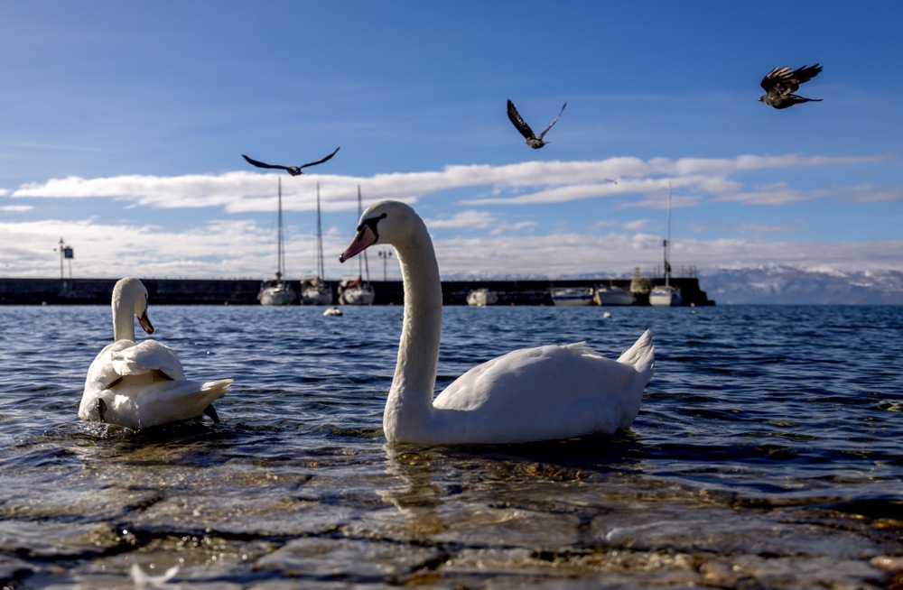 طقس شمال مقدونيا (1)