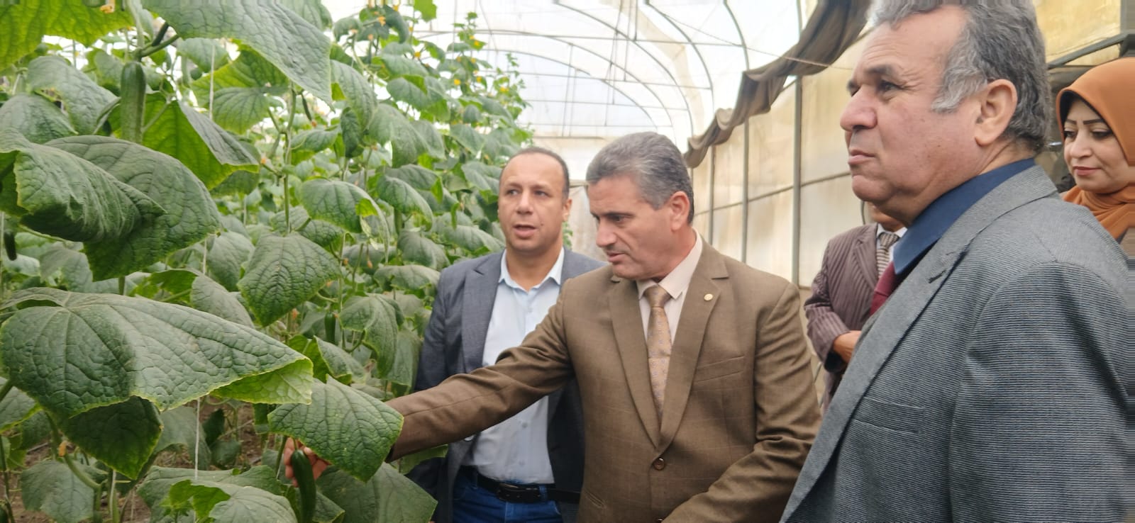 خلال تفقد الصوب الزراعية