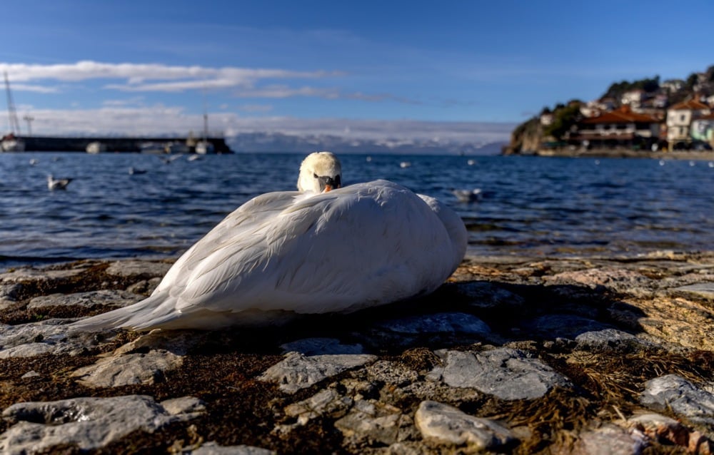 طقس شمال مقدونيا (9)