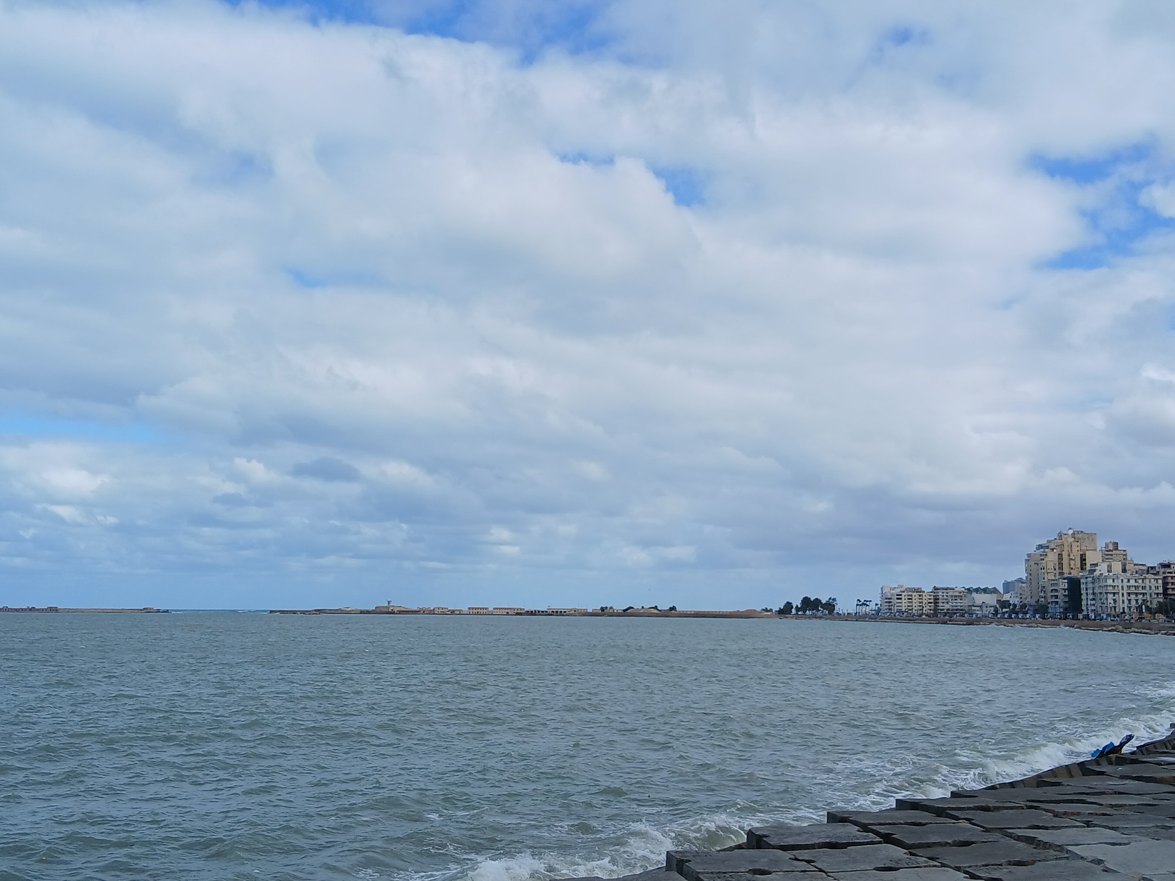 نشاط رياح  في الإسكندرية