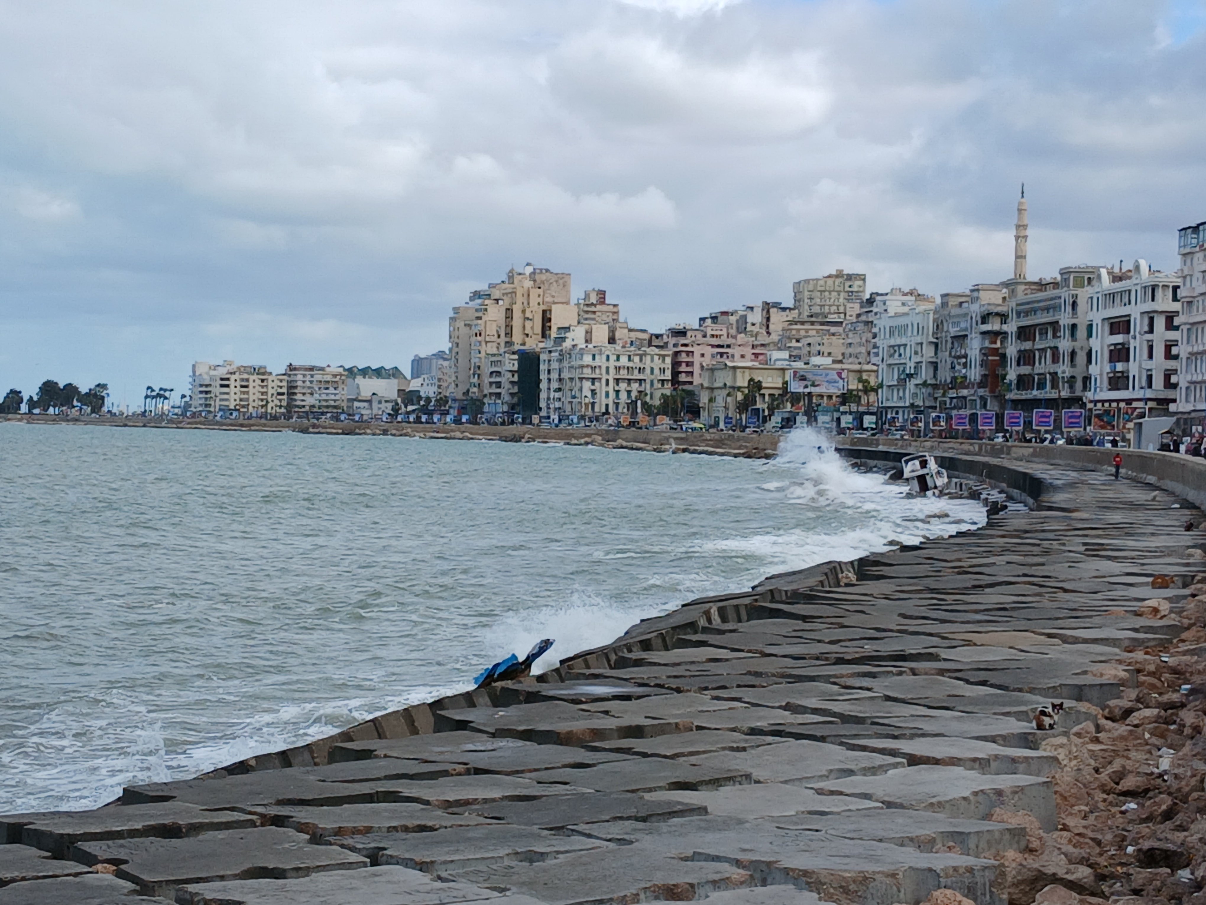 الطقس  في الإسكندرية  اليوم