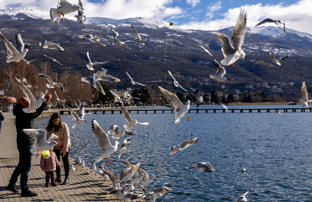 طقس شمال مقدونيا (5)