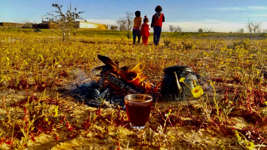 اجواء مابعد المطر