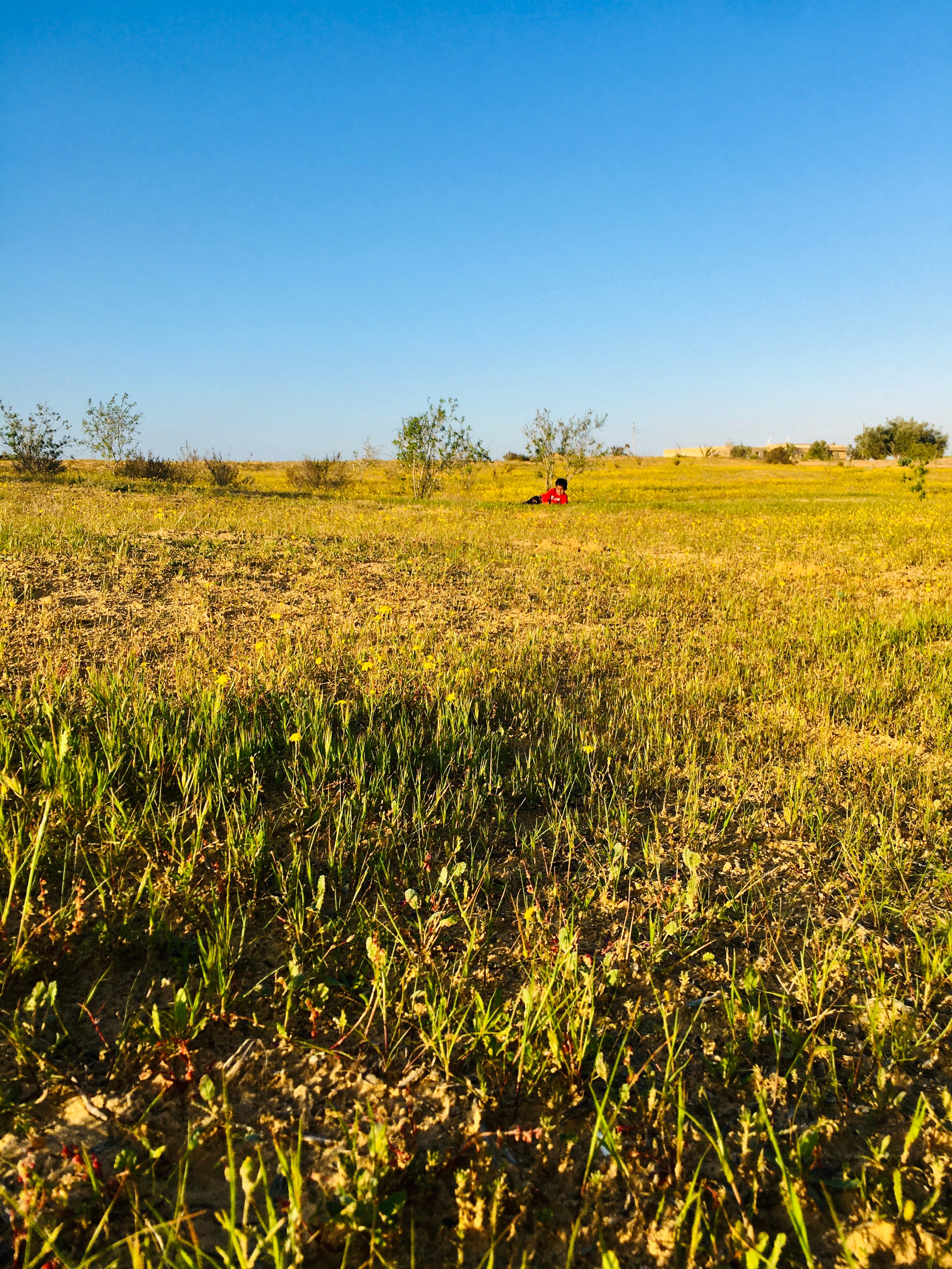 طفل يداعب العشب 