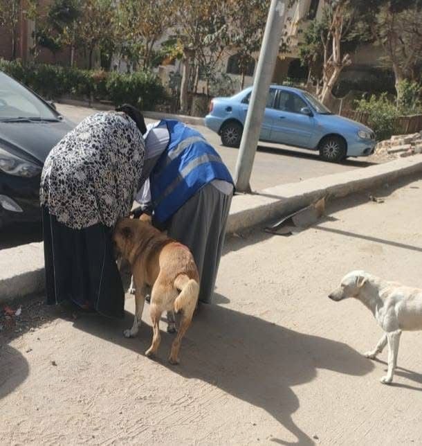 تطعيم الكلاب ضد السعار بالعبور