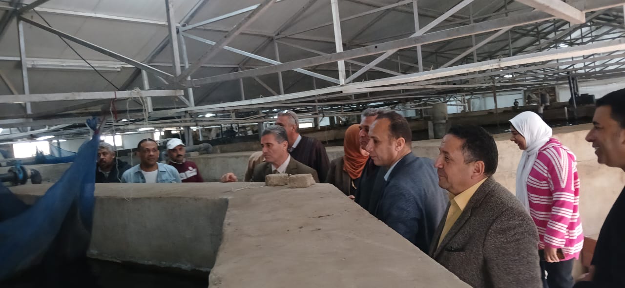 تفقد الأحواض السمكية المغطاة