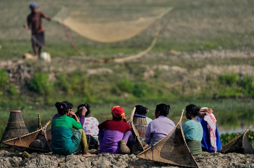 موسم الحصاد (2)