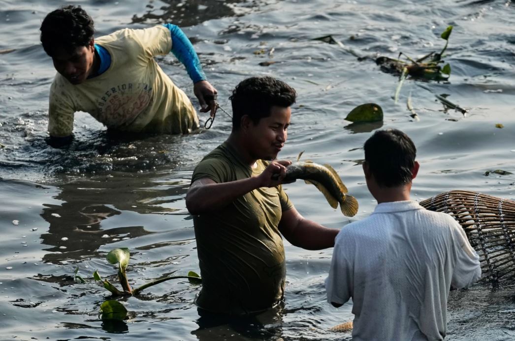 صيد جماعي في قرية صيد هندية بمناسبة نهاية موسم الحصاد (5)