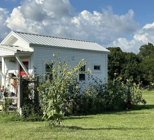 مجتمع عش الطائر