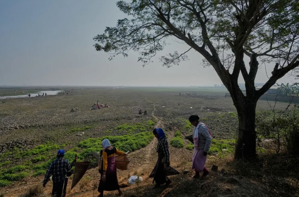 موسم الحصاد (1)