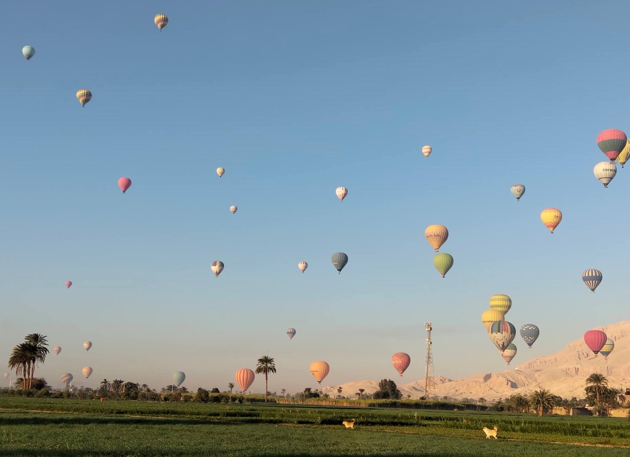 سحر البالون الطائر ينطلق فى سماء البر الغربيى